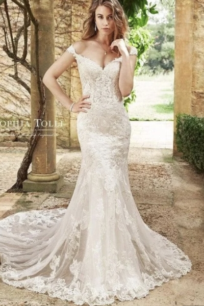 Sophia tolli 